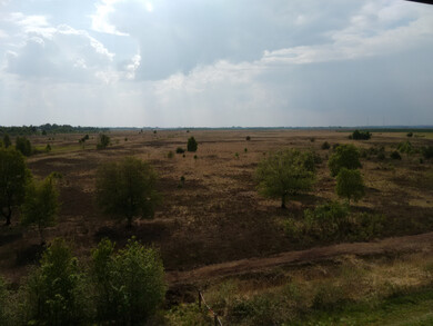Aussicht Neustädter Moor Aussicht Neustädter Moor